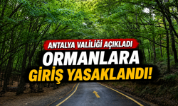 Antalya'da ormanlara giriş yasaklandı!