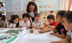 Çocuklar okullarda ipekböceği yetiştirecek