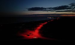 Manavgat'ta kaplumbağalar için led ışık