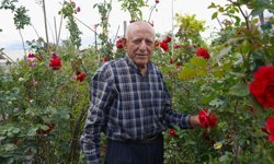 Hıdırellez öncesi gül satışı arttı