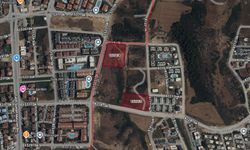 Manavgat'ta Hazine arazileri özelleştirildi