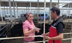 Kurbanlık satış yerlerinde denetim