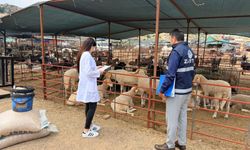 Kepez’de denetimler sürüyor