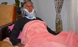 Litvanyalı boksör, tur şoförünü darbetti