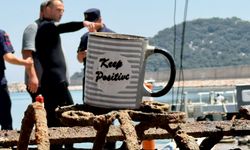 Ekosistemin acı görüntüsü