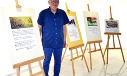 111'inci resimli şiir sergisi