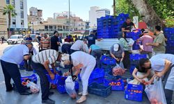 Antalya'da 4 ton domatesi dağıttı