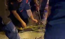 Antalya'da mucize kurtuluş!