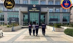 Suç makinesi yakalandı