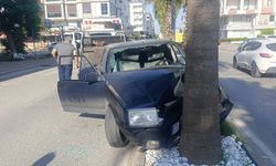 Palmiyeye çarpan araç hurdaya döndü