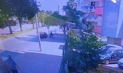Dövüp o anları kayda aldılar