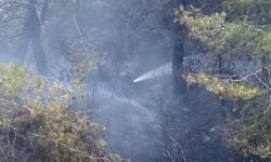 Antalya'da orman yangını