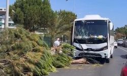 Alanya'da alkollü sürücü kaza yaptı