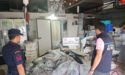 Depoda 603 kg avlanması yasak balık ele geçirildi