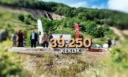 Kene ve kahverengi kokarcaya karşı doğal mücadele