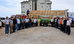 Antalya'da kovan desteği