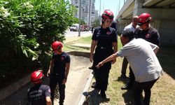 Gider borusuna düştüğü ihbarı ekipleri alarma geçirdi