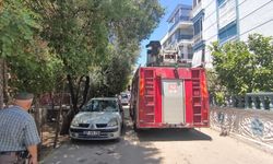 Mahallede korku ve öfke dolu anlar
