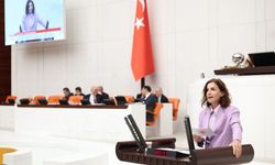Aliye Coşar'dan tepki: Sorunları gizlemek için yapılıyor