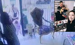 Böcek ailesinin ölümüne ilişkin davada mütalaa