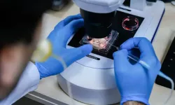 Resmi Gazete'de yayımlandı: Embriyo teknolojisinde yeni dönem!