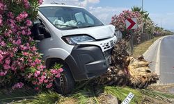 Alanya'da kamyonetle çarpışan motosikletli öldü