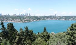 Bu yaz uzun geçecek