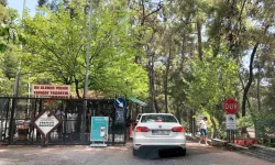 Phaselis’e giriş ücretli mi?