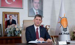 AK Parti'den sinek eleştirisi