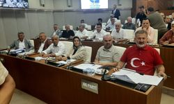 Meclis'ten milli takıma destek