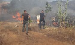 Antalya'da alevlere kovalarla müdahale!