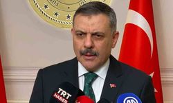 Bakan Çiftçi'den sokak köpekleri ile ilgili açıklama