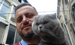 Kayıp kedi ’Tom’ 4 gün sonra bulundu