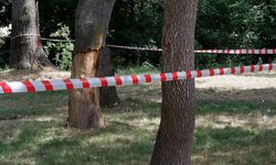 İstanbul'da ormanlara giriş yasağı başlıyor