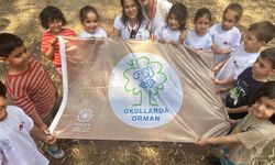 267 okula 'Orman bayrağı'