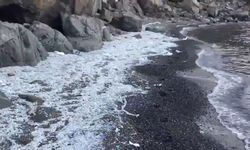 Antalya sahillerinde plastik alarmı