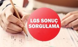 LGS sonuçları açıklandı