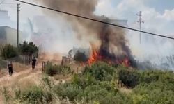 Anız yangını korkuttu