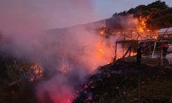 Antalya'da 8 ilçede 34 yangın
