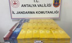 Gazipaşa'da kaçakçılara geçit yok