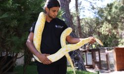 Doğal Yaşam Parkı'nda yılanlara büyük ilgi