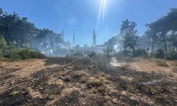 Manavgat'ta ormanlık alanda yangın
