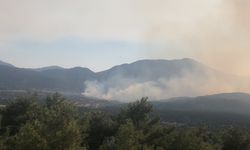 Yangına müdahale sürüyor