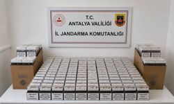 Alanya'da 10 bin doldurulmuş makaron ele geçirildi