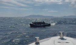 43 kaçak göçmen yakalandı