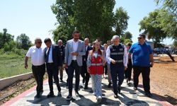 Başkan Vekili Özdemir'den Manavgat'ta inceleme