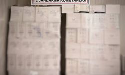 Antalya'da kaçak alkol operasyonu