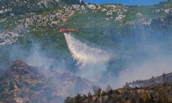 Antalya'daki yangınlar suyu da etkiledi!