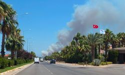Kepez'de orman yangını