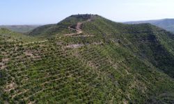 Küllerinden yeniden doğan Manavgat